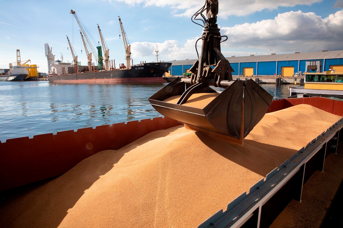 What Is Dry Bulk